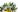 chemical composition of olive oil