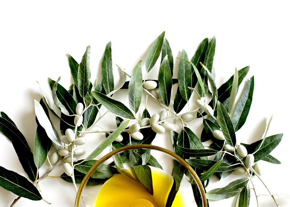 skład chemiczny oliwy z oliwek
